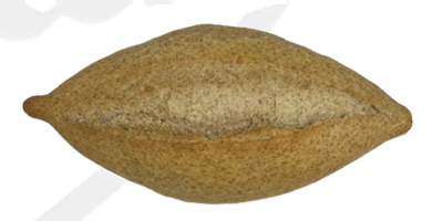 427-VIENA INTEGRAL 100%